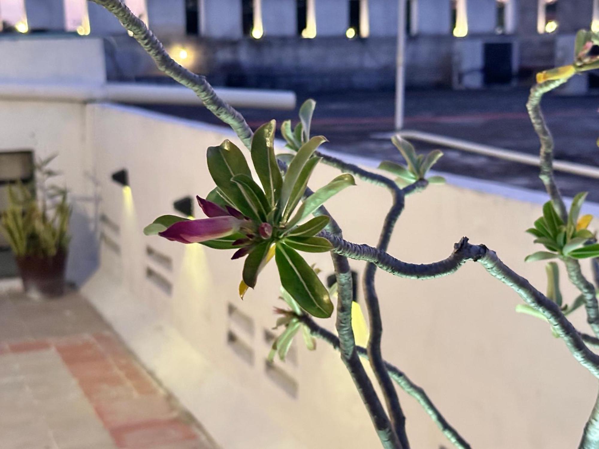 Casa Vidal Hotel Valladolid  Kültér fotó